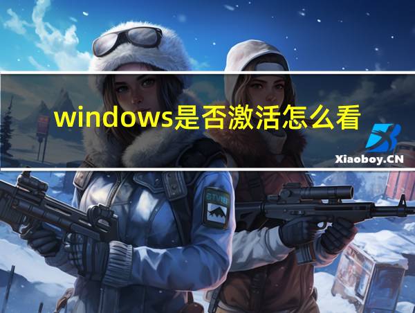 windows是否激活怎么看的相关图片