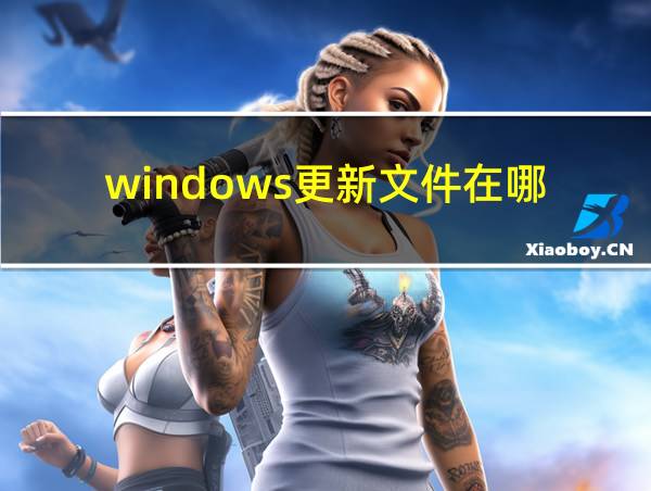 windows更新文件在哪的相关图片