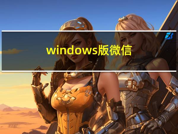 windows版微信的相关图片