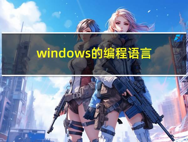 windows的编程语言的相关图片