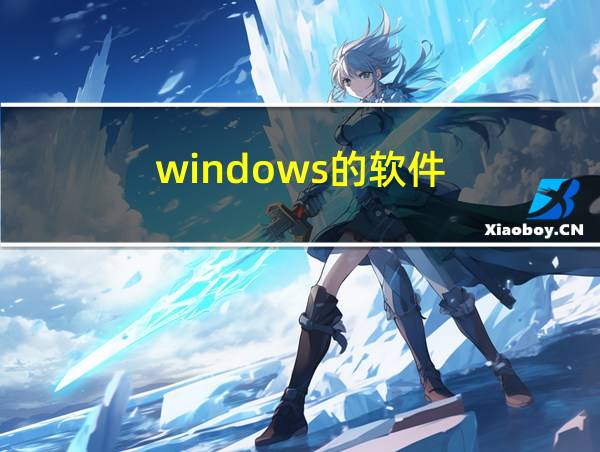 windows的软件的相关图片