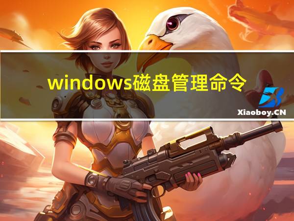 windows磁盘管理命令的相关图片