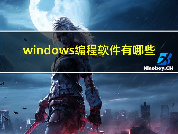 windows编程软件有哪些的相关图片