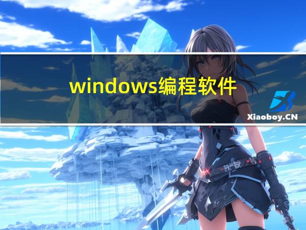 windows编程软件的相关图片