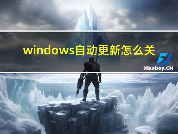 windows自动更新怎么关的相关图片