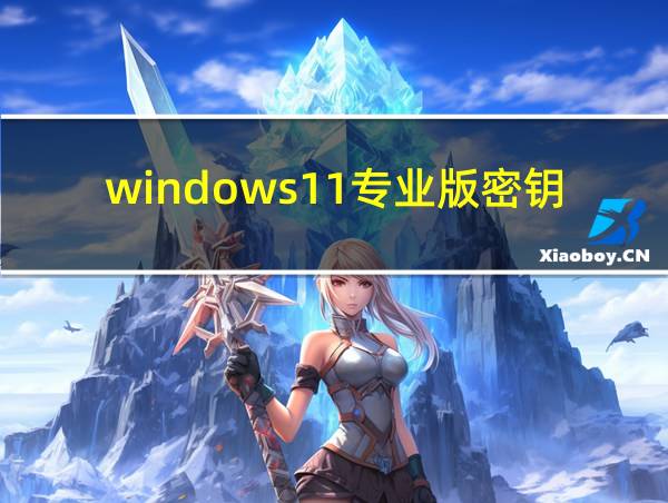 windows11专业版密钥激活码的相关图片