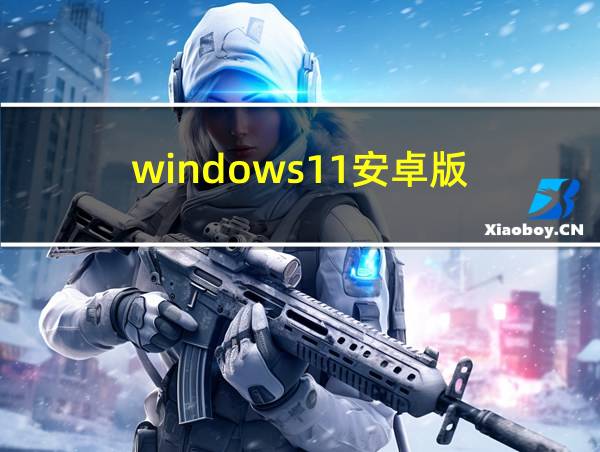 windows11安卓版的相关图片