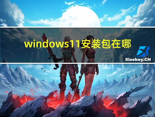 windows11安装包在哪的相关图片