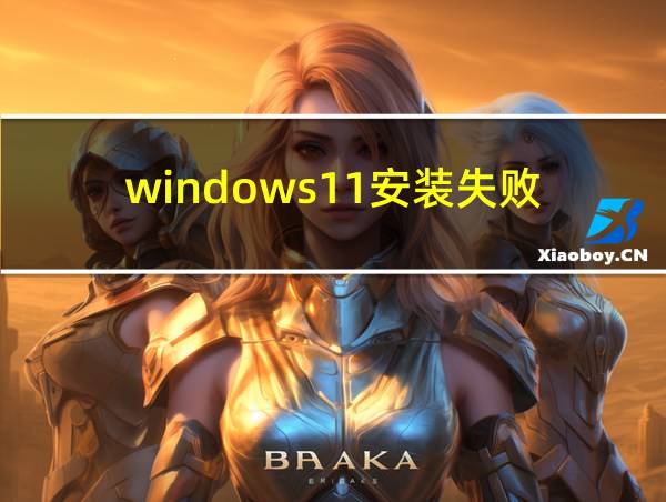 windows11安装失败的相关图片