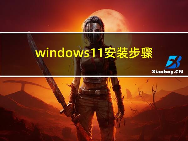 windows11安装步骤的相关图片