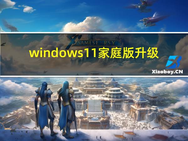 windows11家庭版升级专业版的相关图片