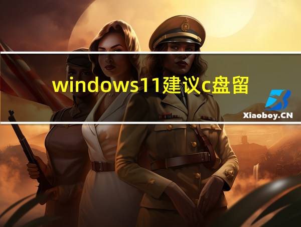 windows11建议c盘留多大的相关图片