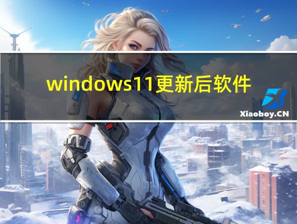 windows11更新后软件还在吗的相关图片