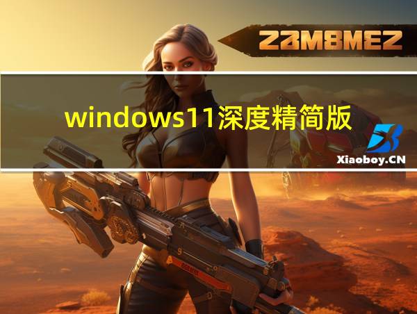 windows11深度精简版的相关图片