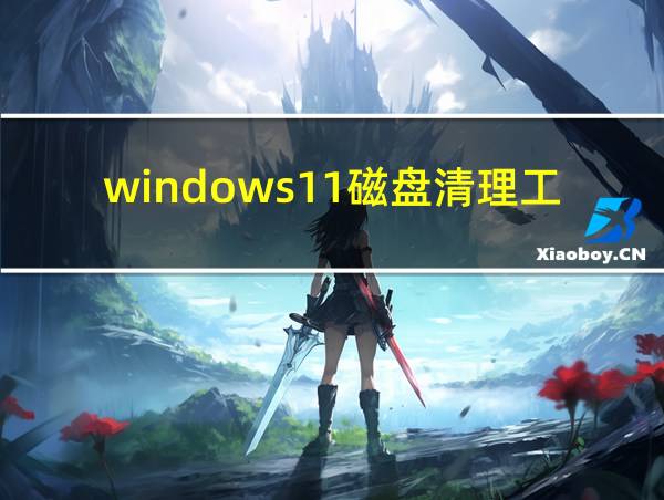 windows11磁盘清理工具的相关图片