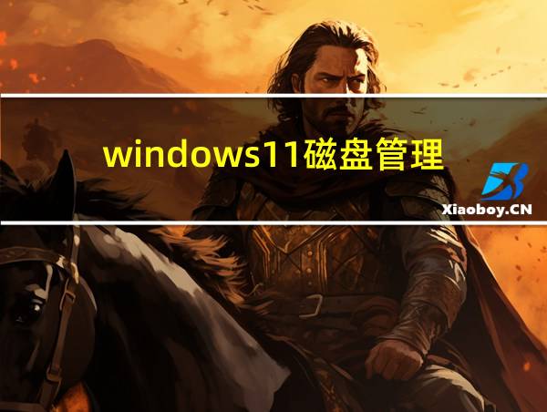 windows11磁盘管理的相关图片