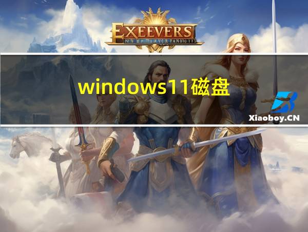 windows11磁盘的相关图片