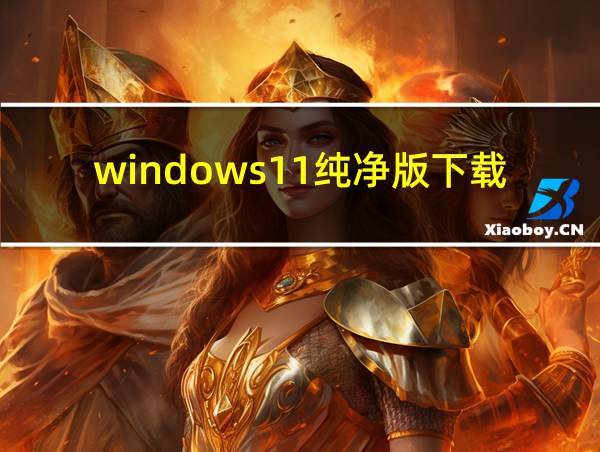 windows11纯净版下载的相关图片