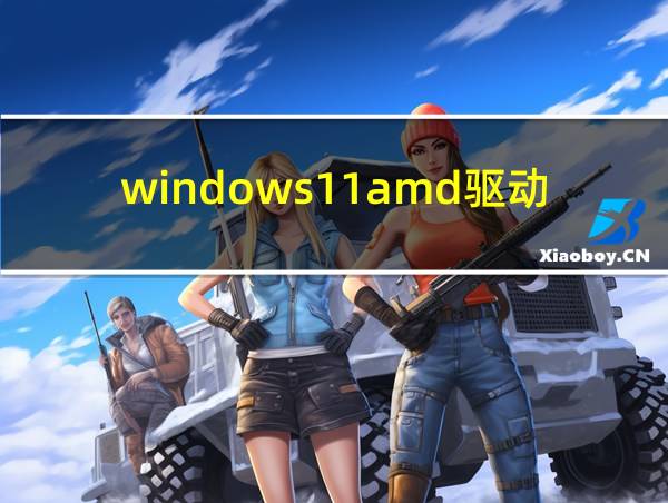 windows11amd驱动的相关图片