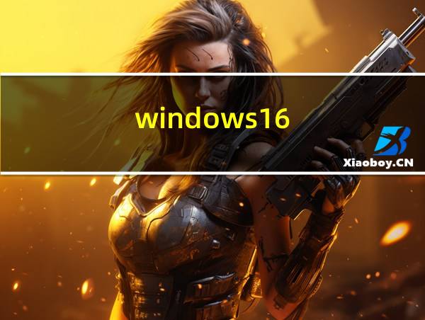 windows16的相关图片