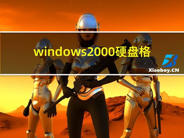 windows2000硬盘格式的相关图片