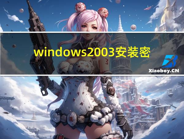 windows2003安装密钥的相关图片