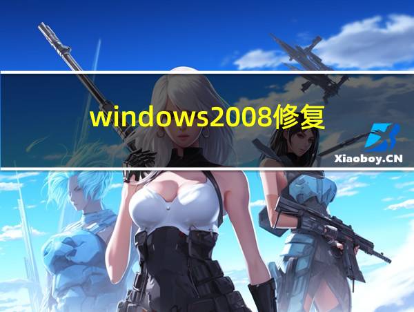 windows2008修复的相关图片