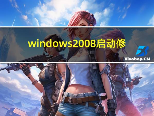 windows2008启动修复的相关图片