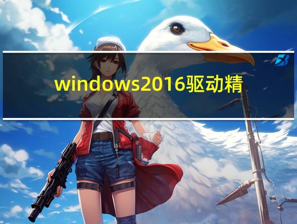 windows2016驱动精灵的相关图片