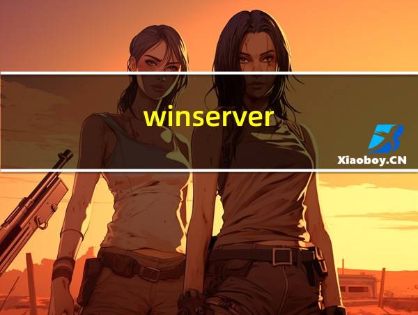 winserver的相关图片