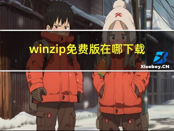 winzip免费版在哪下载的相关图片