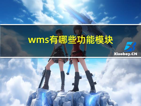 wms有哪些功能模块的相关图片