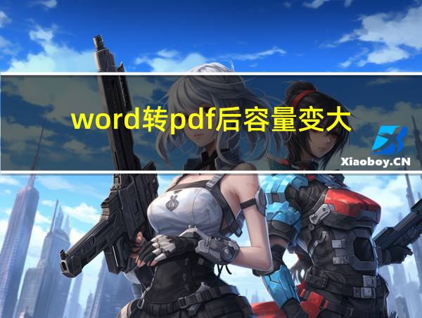 word转pdf后容量变大的相关图片