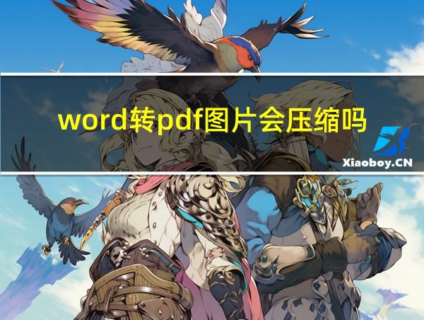 word转pdf图片会压缩吗的相关图片