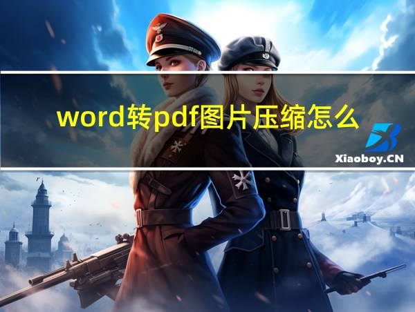 word转pdf图片压缩怎么办的相关图片