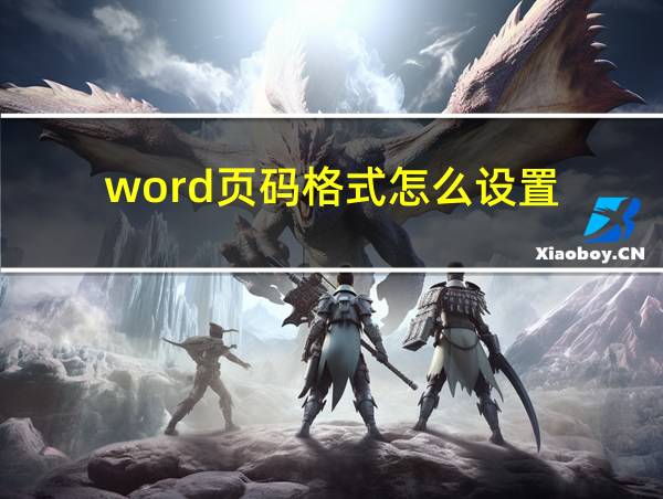 word页码格式怎么设置的相关图片