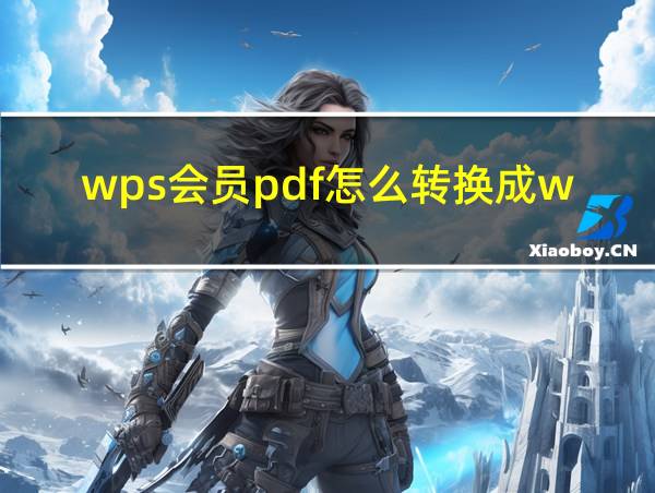 wps会员pdf怎么转换成word的相关图片