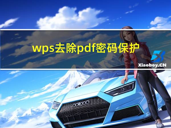 wps去除pdf密码保护的相关图片