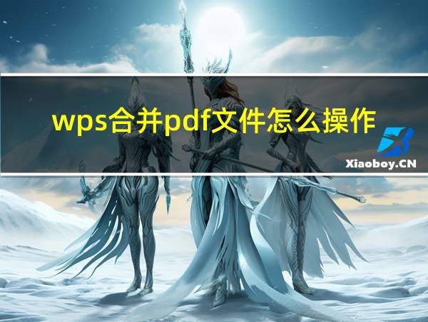 wps合并pdf文件怎么操作的相关图片