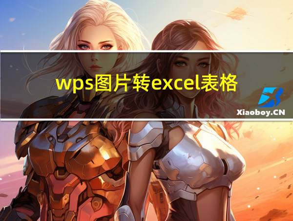 wps图片转excel表格的相关图片