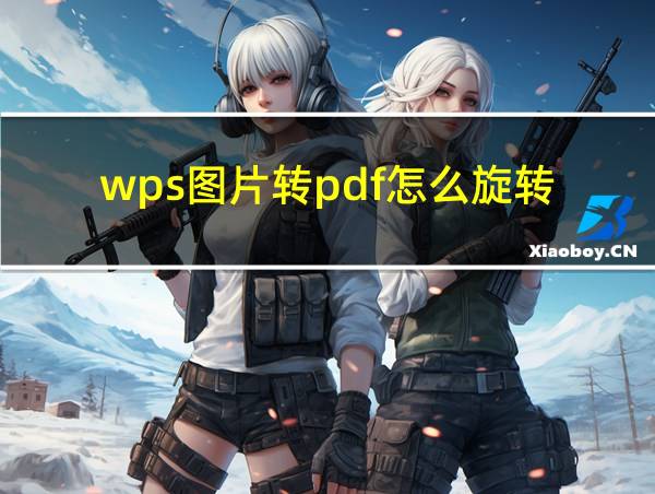 wps图片转pdf怎么旋转的相关图片