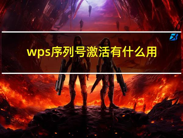 wps序列号激活有什么用的相关图片