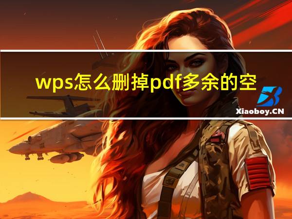 wps怎么删掉pdf多余的空白页的相关图片