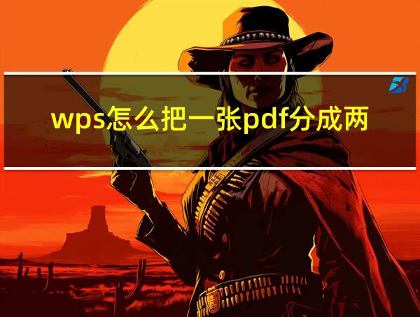 wps怎么把一张pdf分成两页的相关图片