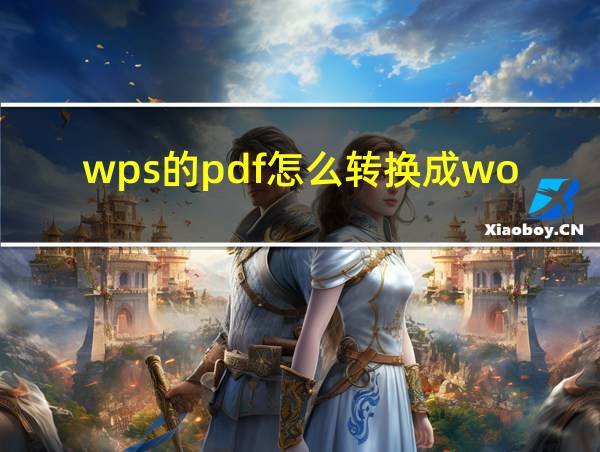 wps的pdf怎么转换成word文档的相关图片