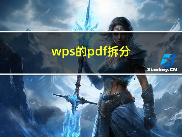 wps的pdf拆分的相关图片