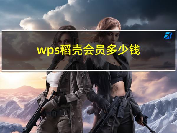 wps稻壳会员多少钱的相关图片