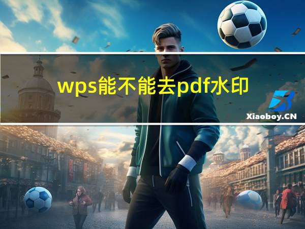 wps能不能去pdf水印的相关图片