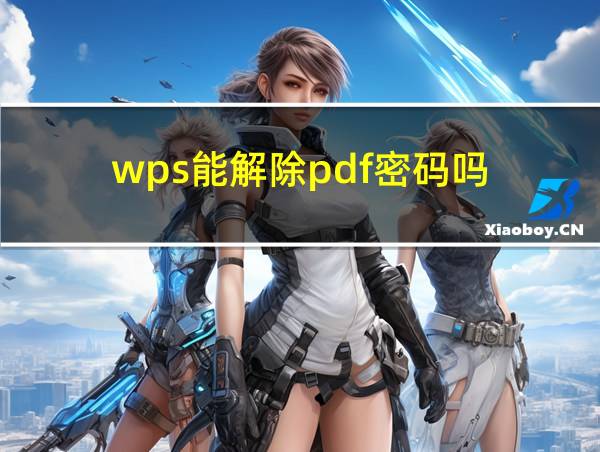 wps能解除pdf密码吗的相关图片