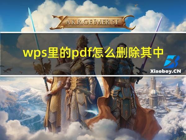 wps里的pdf怎么删除其中一页的相关图片